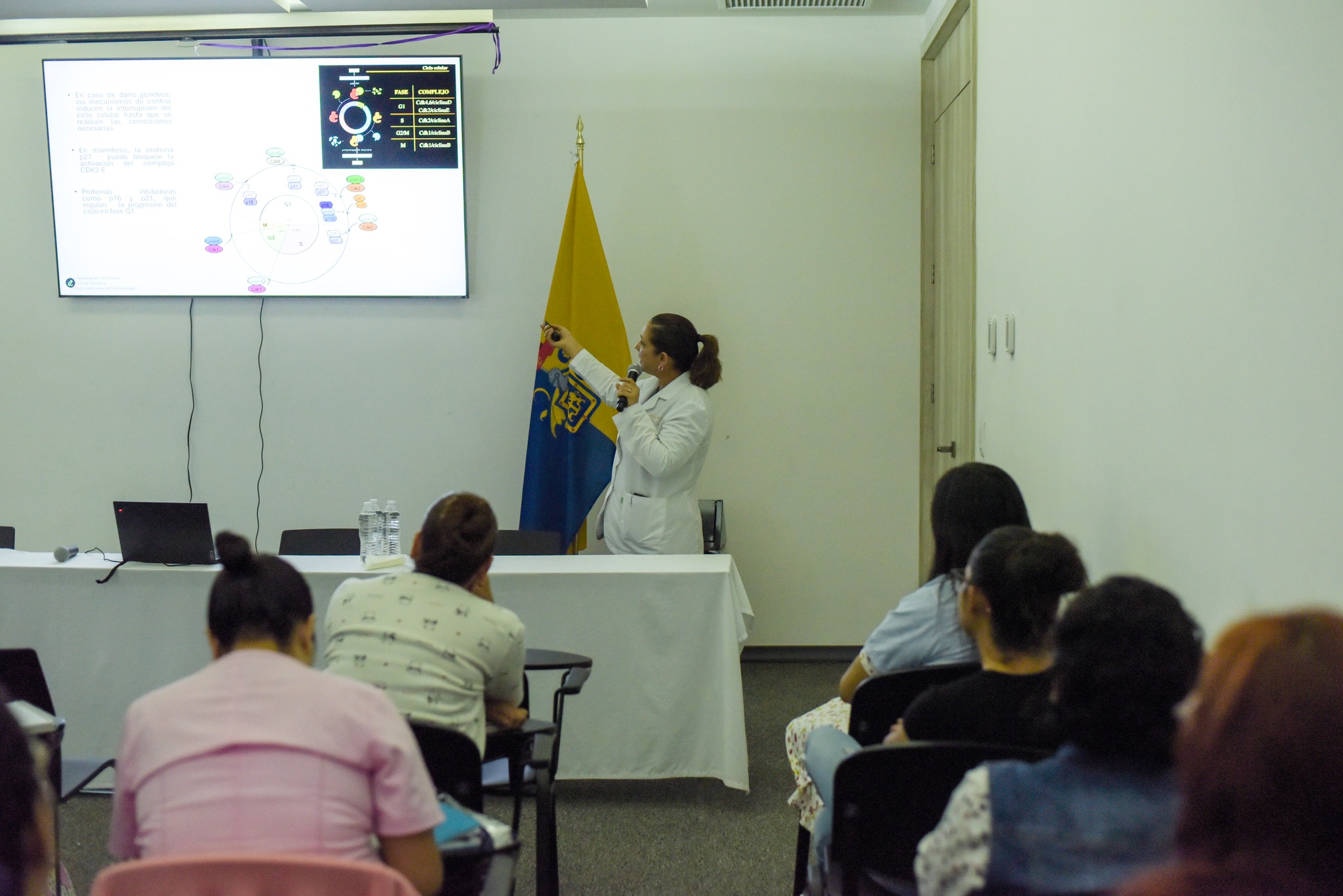 Curso Monográfico