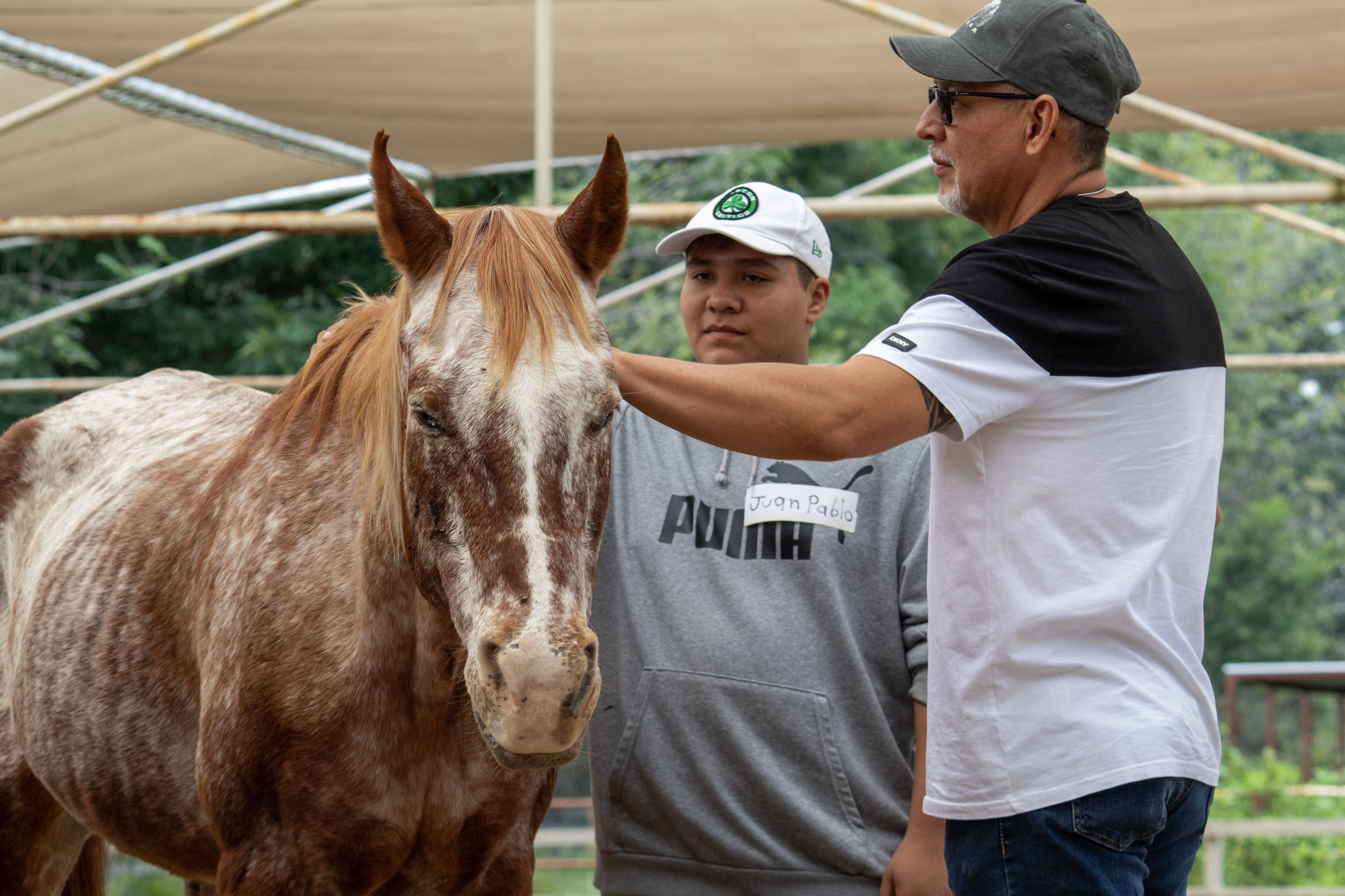 Sesiones de Equinoterapia 2025 - 17/Oct/2025 - foto 2