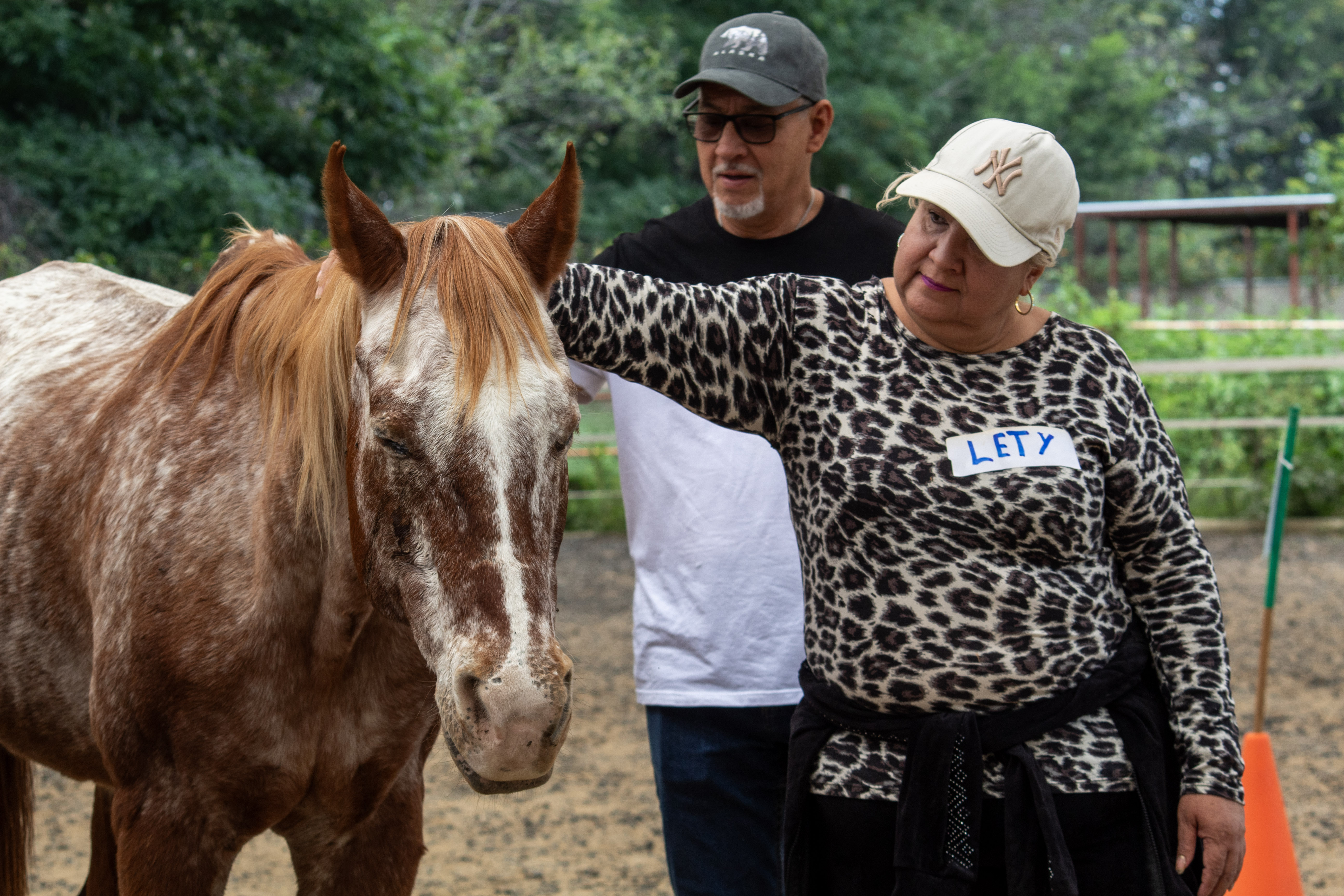 Sesiones de Equinoterapia 2025 - 17/Oct/2025 - foto 3